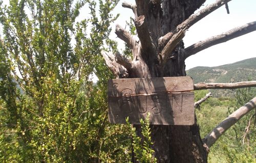 La Señora de Susín