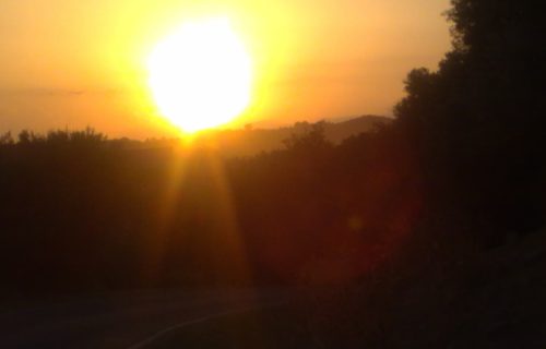 El día de la marmota