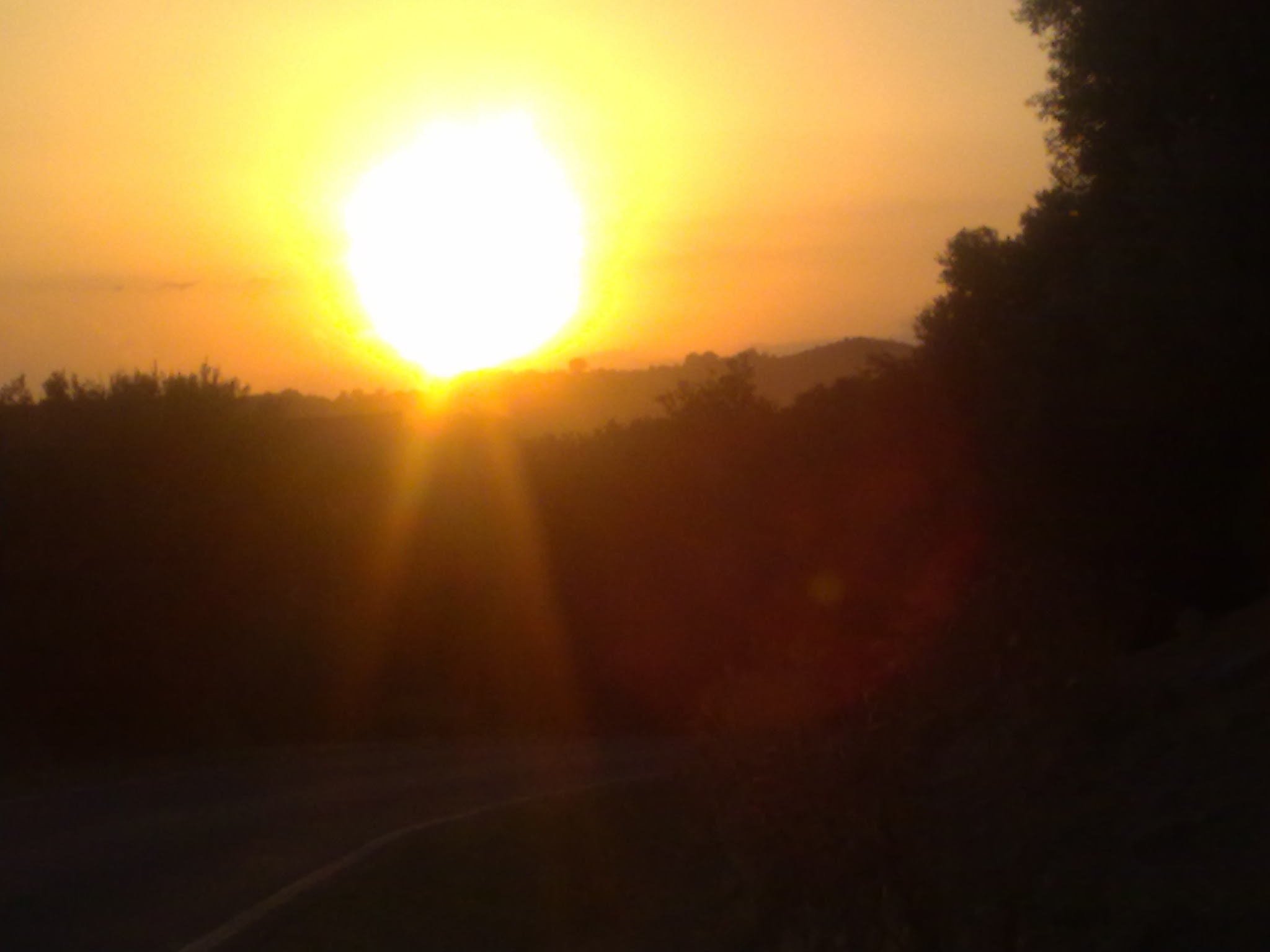 Lee más sobre el artículo El día de la marmota