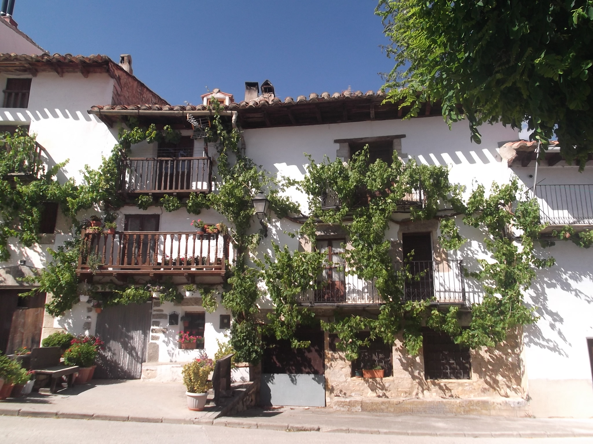 Lee más sobre el artículo Fortanete