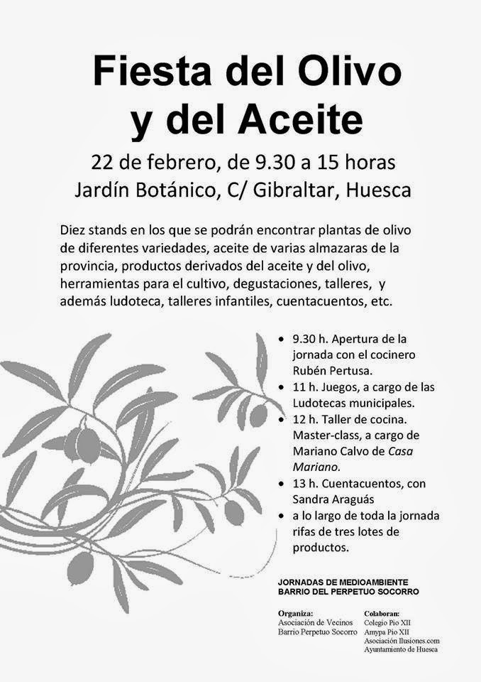 Lee más sobre el artículo Fiesta del Olivo