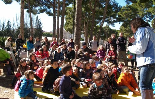 Fiesta del Olivo y del Aceite