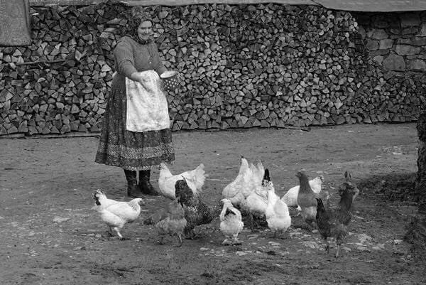 Lee más sobre el artículo Fotos que llevan a cuentos