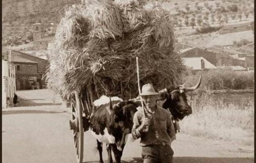 San Valentín, la fiesta de los cornudos