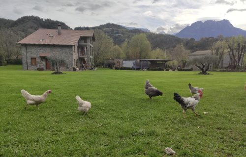 #Chucheríadecuento 15: Las plumas