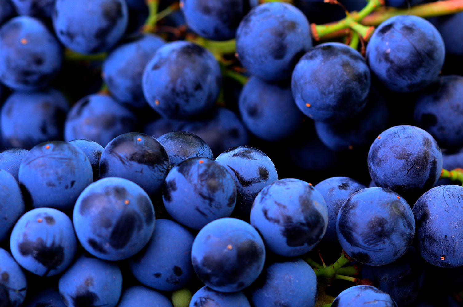 Lee más sobre el artículo #Chucheríadecuento 20: Las uvas y los higos