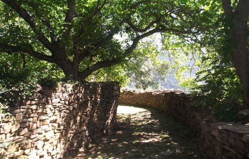 #Chucheríadecuento 25: La cartica coloradica