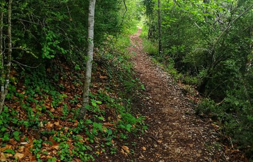 #Chucheríadecuento 23: Allá arribita