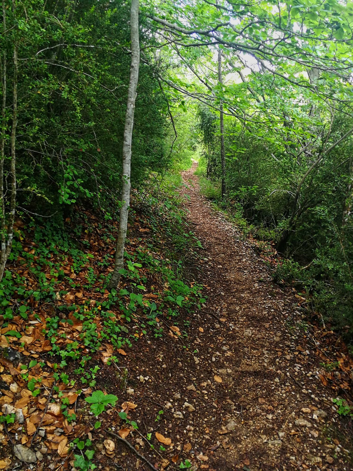 Lee más sobre el artículo #Chucheríadecuento 23: Allá arribita