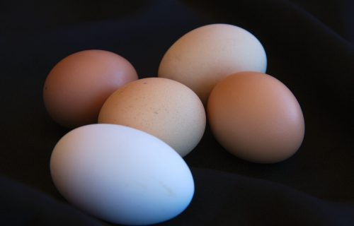 Cuentos en Telegram: Yo tres, tú dos