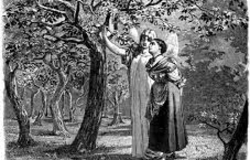 Cuento Telegram. El cuento de santa Elena.